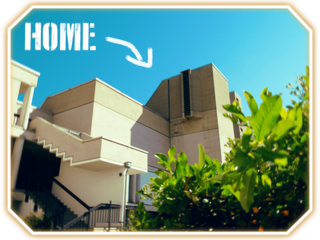 Beschreibung des Bildes